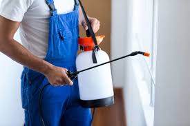 Best Fumigation Services  in North Patchogue, NY